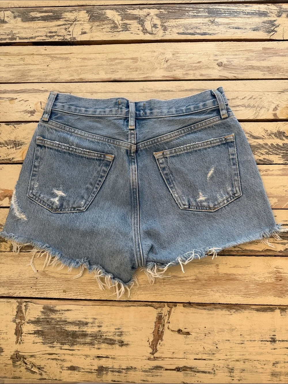 Agolde PARKER VINTAGE CUT OFF SHORT